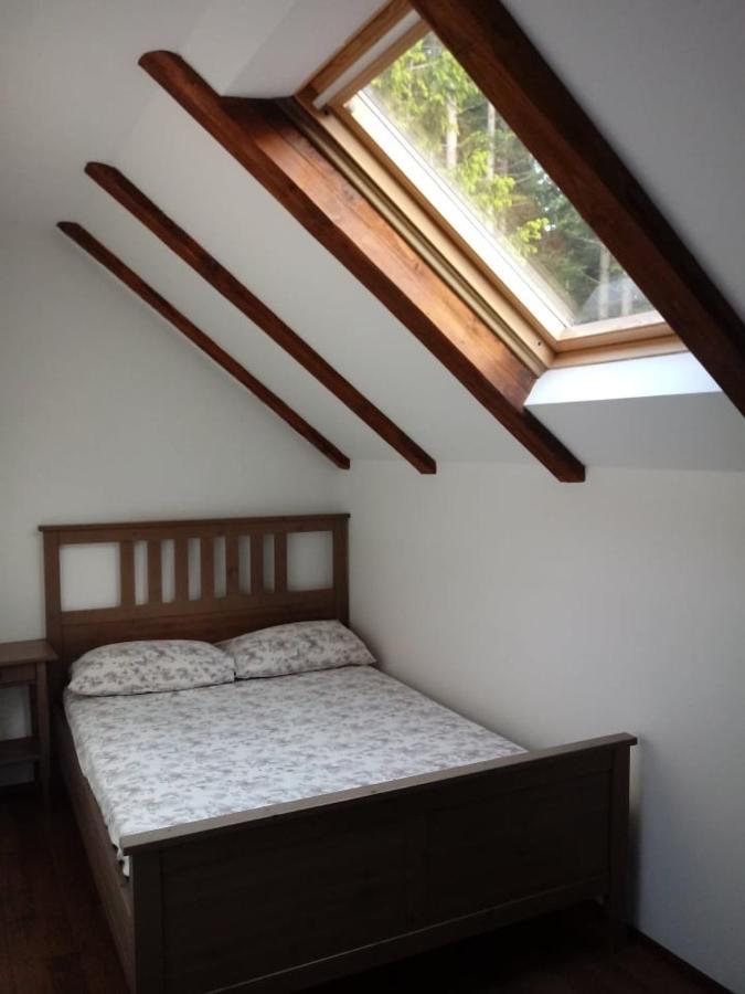 Apartmaji Velikonja อายดอฟช์ชีนา ภายนอก รูปภาพ
